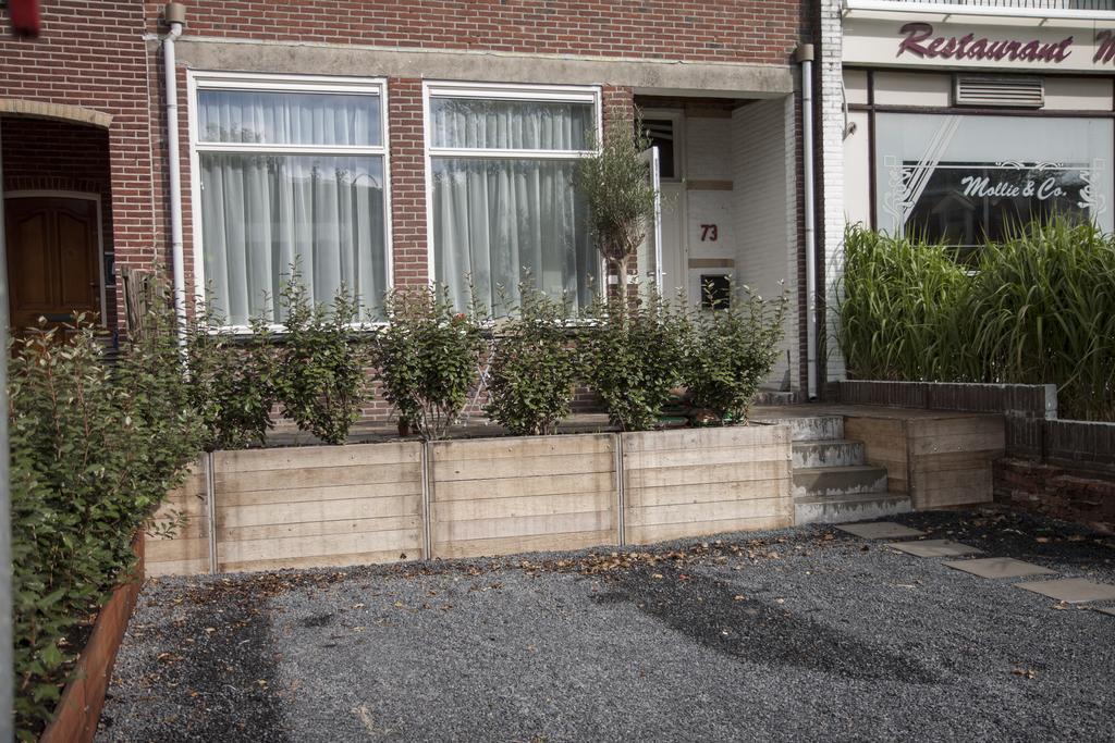 Savina City Centre Apartment Near Beach, Station And Shops Zandvoort Room photo